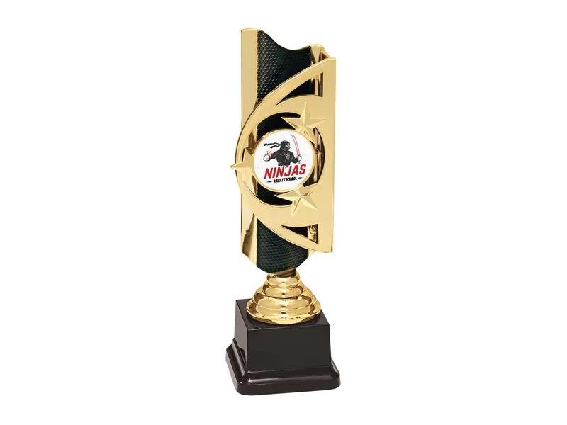 Martial Arts award