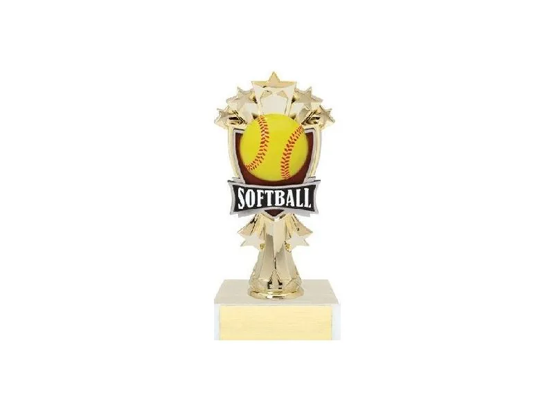 Softball award