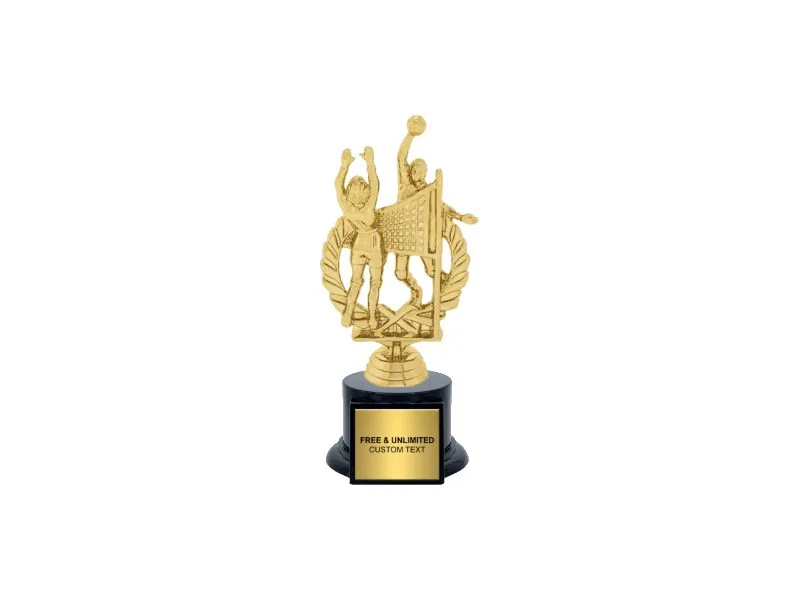 Volleyball award