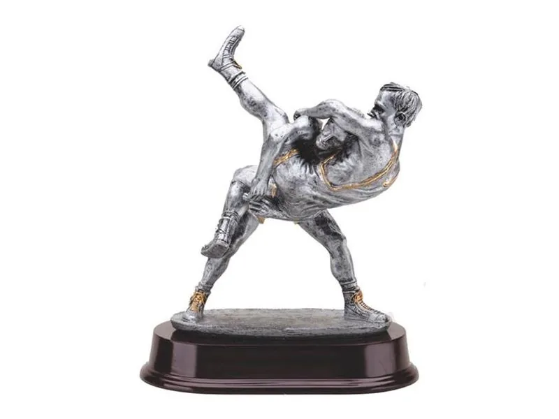Wrestling award